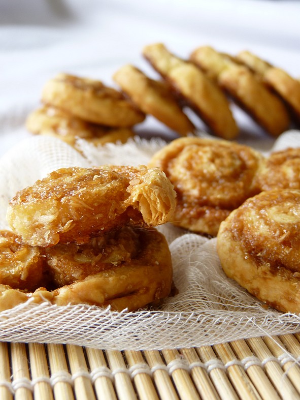 Palmiers coco5