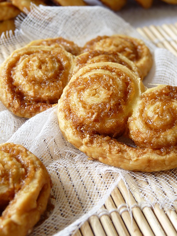 Palmiers coco2