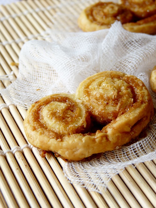 Palmiers coco4